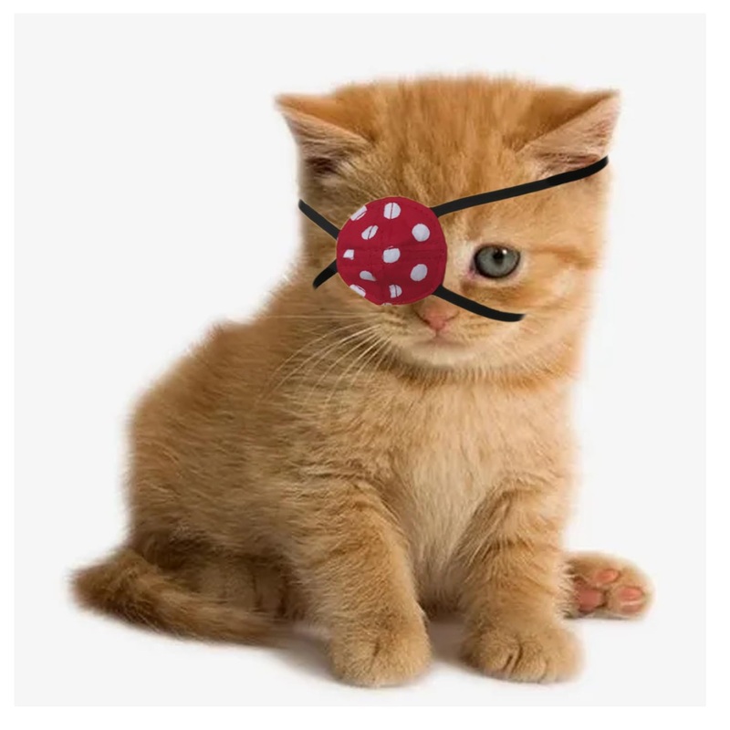 2 Pack Cat Eye Patch Cats Single Eyepatch Cats Eye Covering Wounds Protector for Cat Kitten Dog Eyes Patch Dog Single Eyepatch Dogs Eye Protector