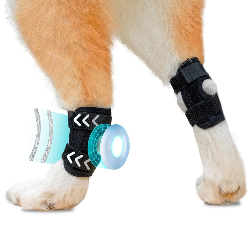 2024 Dog Leg Braces Dog Knee Brace for Back Leg- Dog Hip Brace for Torn Acl and Joint Relief -Dog Leg Sleeve – Dog Back Leg Support and Joint Supplement Black (L) L