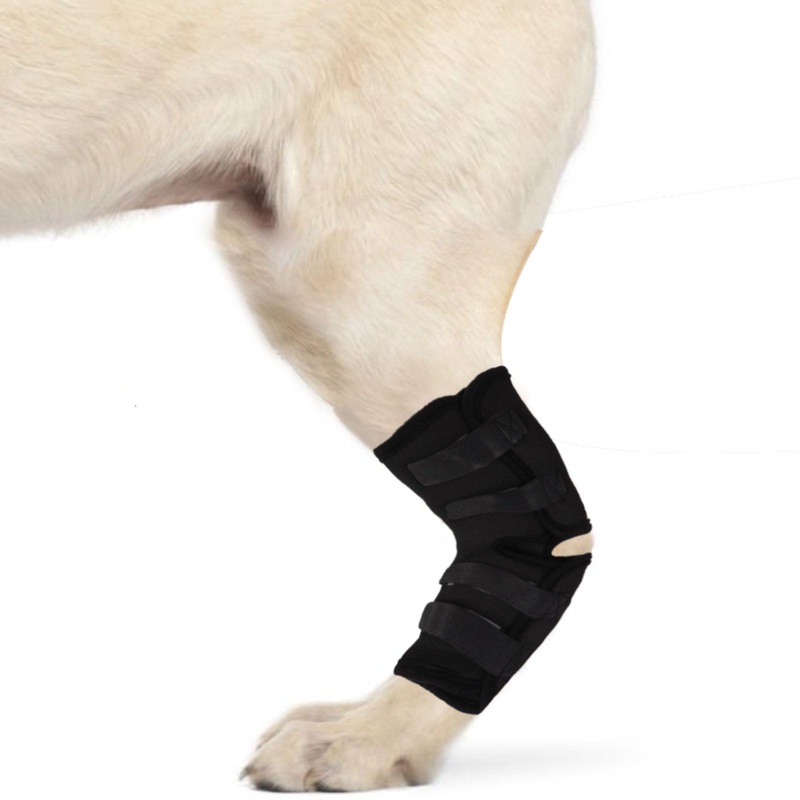 ABLAZEZAI Dog Hind Leg Brace Protects Wounds, Dogs Leg Compression Joint Wrap for Recovery, Pair of Dog Elbow Brace Prevents Injuries, Pet Leg Hock Protector Sleeve for Dogs (S) S