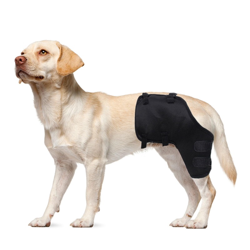 ABLAZEZAI Pet Leg Joint Wrap Protector for Dogs, Adjustable Dog Elbow Brace Protector Pads, Puppy Wounds Compression Wrap Sleeve Prevent Licking, Pets Recovery Suit for Cat Dog (Left Hind Leg, XL)