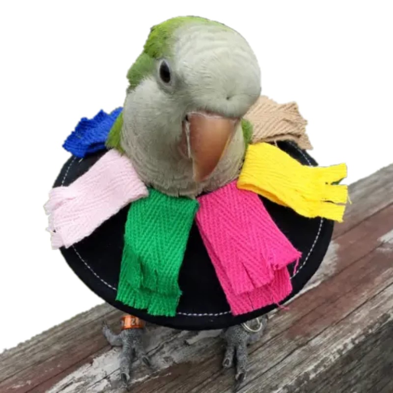 Adjustable Bird Collar Anti Bite Elizabethan Recovery Cone, Bird Neck Protector for Feather Plucking, Skin-Friendly Bird Neckwear Full Body Shield for Parakeet Conure Cockatiel (L), Black L