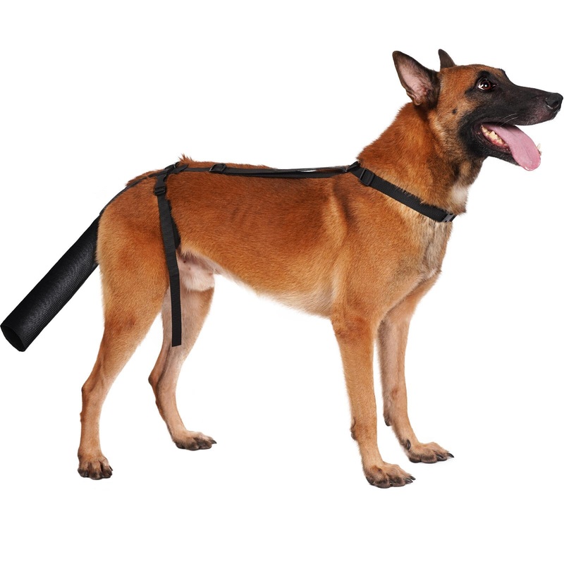 BARKLESS Dog Tail Protector, Dog Tail Guard for Medium Large Dogs, Adjustable Cover to Prevents Licking Wounds, Breathable Tail End Bag for Recovery L