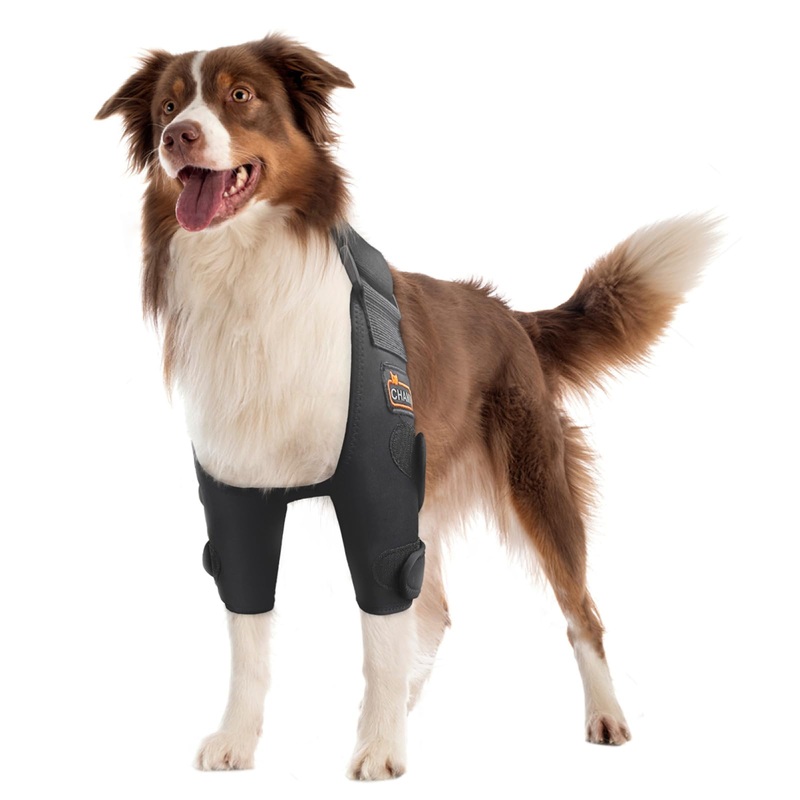 CHAMIN Dog Elbow Brace for Elbow Support and Protection, Protector Pads Hygroma, Elbow Pads for Dogs Dysplasia, Calluses, Elbow Wound Healing,et(Both Legs,XXL) Both Legs Extra Extra Large