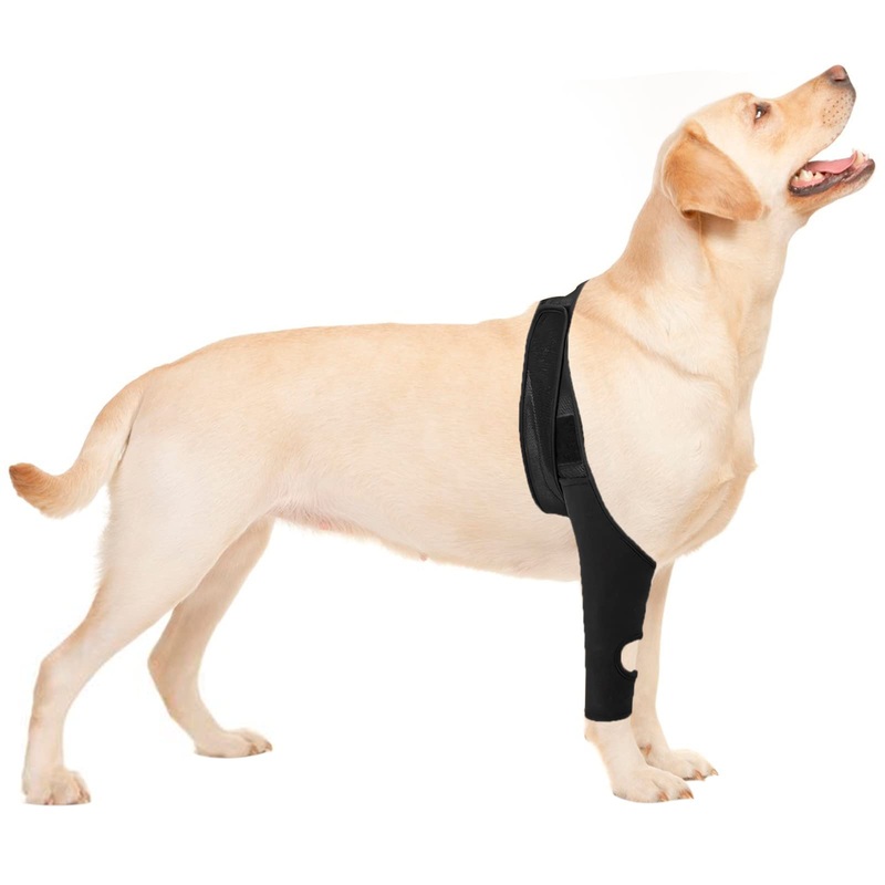 CHUNWILL Elbow Pads for Dogs Post-Operative Suit for Dogs and Cats Original Knee Pads for Dogs for Cruciate Ligament Injuries Dislocated Kneecaps OsteoarthritisTalla L