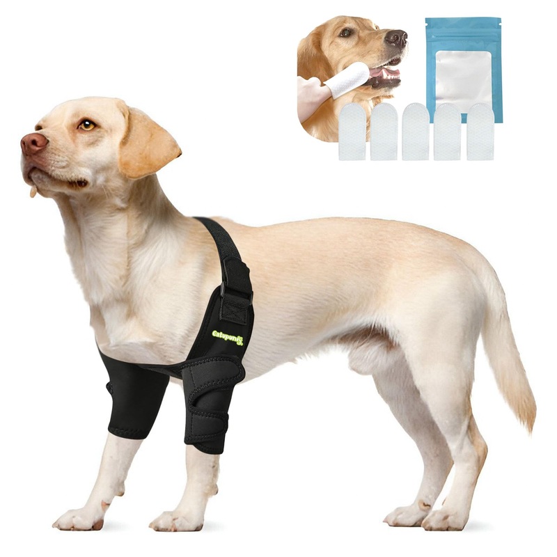 Dog Elbow Protector + [5 Dog Teeth Cleaning Wipes] Dog Shoulder Brace. Hygroma Elbow Pads for Dogs. Dog Elbow Brace Front Leg Brace for Dogs. Dog Elbow Pads. Dog Leg Brace Front L