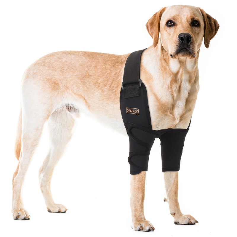 Dog Elbow Protector,Adjustable Straps Dog Shoulder Brace,Lightweight Dog Front Leg brace for Shoulder Dislocation, Pressure Sores,Elbow Injury and Loss of Stability from Arthritis(Both Legs, L) Both Legs