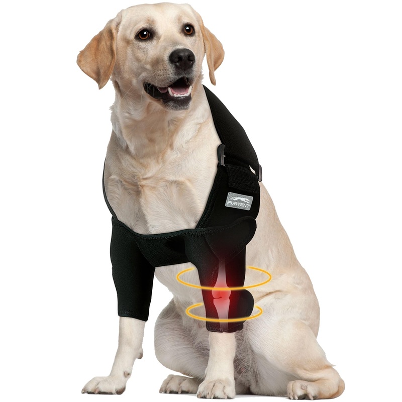 Dog Elbow Protector for Pet Elbow Dysplasia, Shoulder Dislocation – Offers Elbow Support, Dog Recovery Suit Taper Collar Alternative, Helps Wound Healing, Prevents Licking and Biting, XXL Both Legs