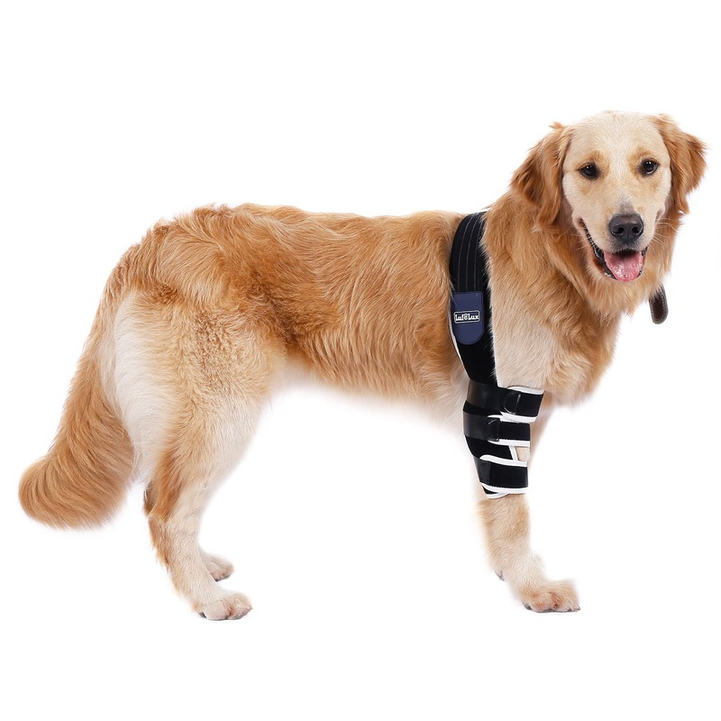 Dog Elbow Protector, Padded Elbow Brace for Canine, Shoulder Support Protection for Callus, Hygroma, Dysplasia, Arthritis, Osteoarthritis, Pressure Sores, Avoid Cone of Shame Right Leg X-Large