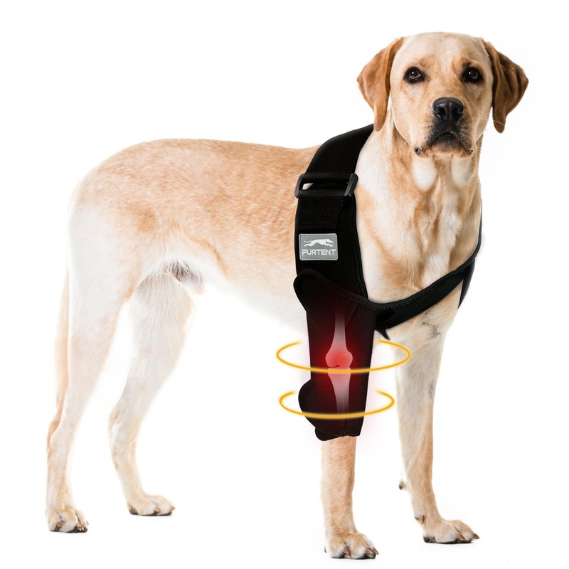 Dog Front Leg Brace for Elbow Dysplasia, Shoulder Dislocation, Hygroma, Pet Prevent Licking Wound Elbow Protector, Avoid Cone of Shame, Abrasion Resistant Dog Recovery Sleeve, M