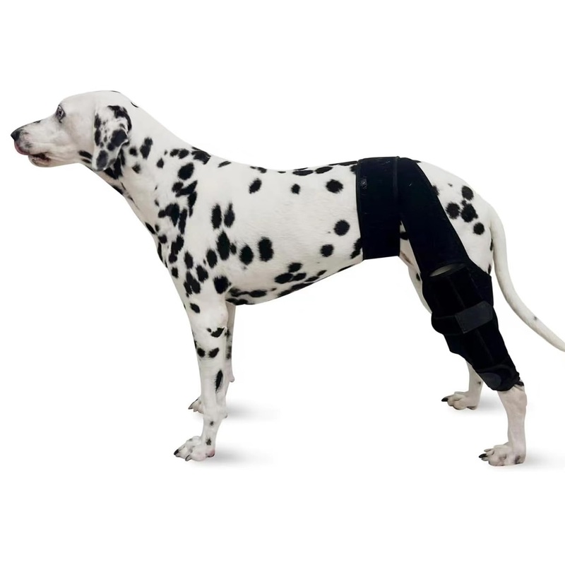 Dog Knee Brace for Back-LegDog Leg Support BracePet Front Back Leg Protector Dog Knee Brace Extra Support & Faster Recovery (Small) Small