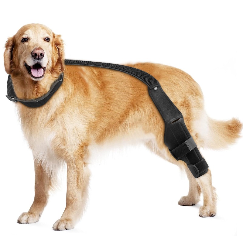 Dog Knee Brace for Torn Hind Legs, Dog Leg Support for Cruciate Ligament Injuries, Joint Pain, Sore Muscles, Adjustable Knee Brace for Dogs, Fits Left and Right Legs, Size S