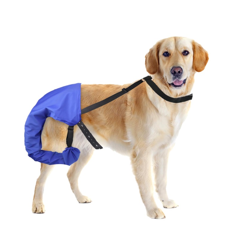 Dog Tail Guard Dogs Tail Protector Bag Dogs Tails Heal Sleeve with Velcro for Dog Happy Tail Syndrome Happy Tail Solution