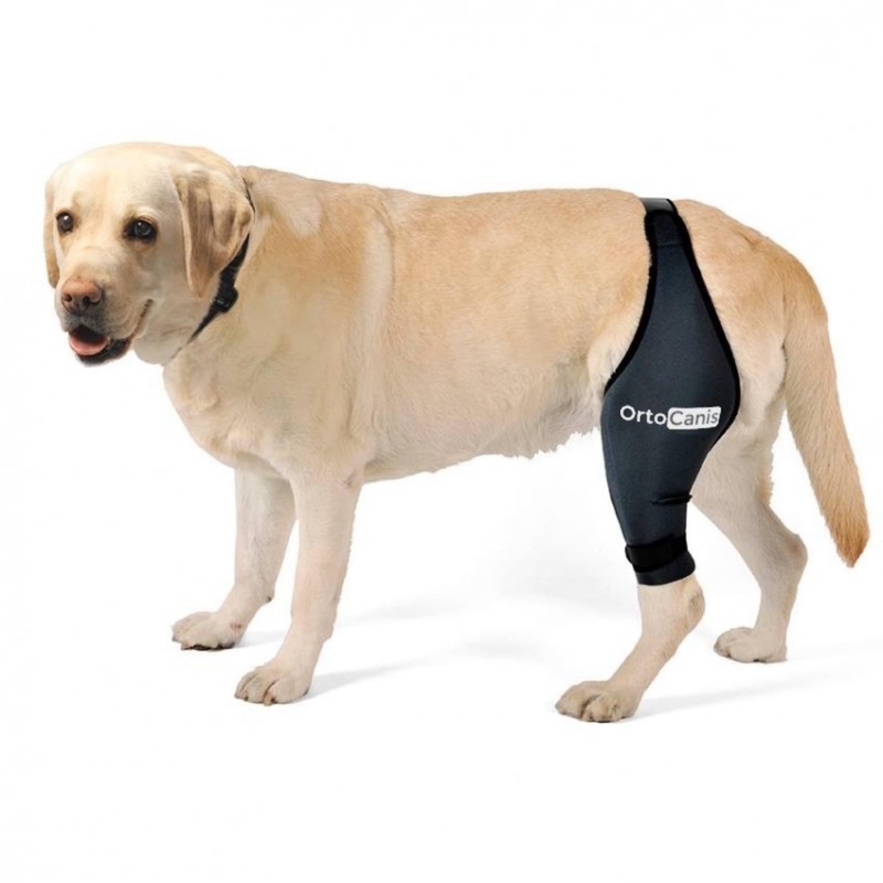Ortocanis – knee support for dogs with cruciate ligament injuries, patellar luxation or osteoarthritis, size XXS, left leg size XX-Small