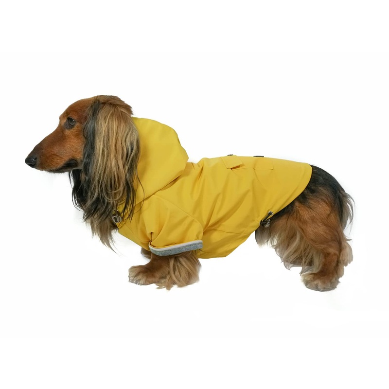 DJANGO Highland Dog Jacket and Raincoat – Water-Repellent, Windproof, and Harness-Friendly Winter Dog Coat and Stylish Dog Raincoat with Adjustable Drawstrings, Optional Hood, Premium Gunmetal Hardware, and Back Pocket X-Small Dandelion Yellow