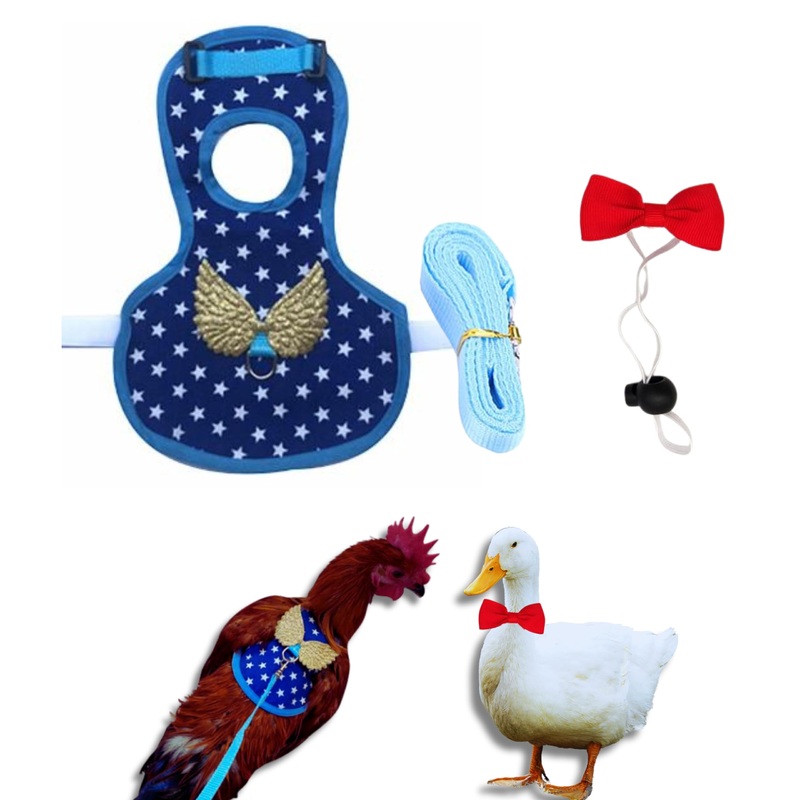 Duck Harness and Leash for Real Ducks with Bowtie Set, Adjustable Walking Harness and Bowties for Real Ducks, Duck Collar for Pet Ducks, Duck Leash for Pet Chicken Goose Hens Rooster (M, Blue Star) Medium