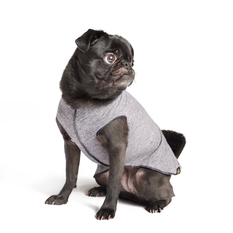 Gold Paw Sun Shield Dog Tee  T-Shirt for Canines  UV Protection, Pet Anxiety Relief, Wound Care  Prevents Foxtails, Alopecia – Machine Washable, All Season 10 Grey