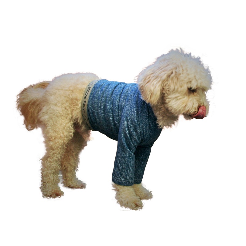 Mozzie Pants Dog T-Shirt Large Blue