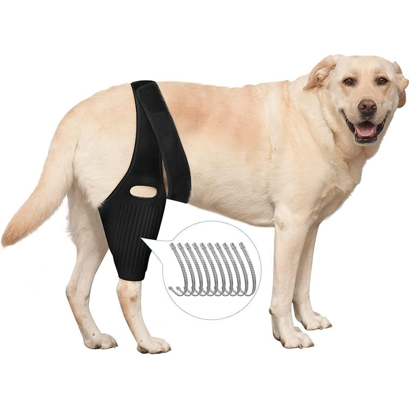 2024 Upgraded Dog Hip Brace Large Breed Dog Knee Brace- Dog Acl Brace Hind Leg & Joint Relief – Dog Leg Braces – Back Leg for Support (M) Medium