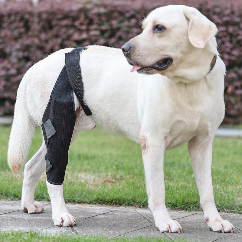 2X Support Dog Knee Brace with Metal Strips for Joint Pain Relief, Dog Leg Brace for Torn Acl Hind Leg, Rear Leg Brace with Adjustable Traction Belt for Cruciate Ligament Injury, Arthritis (Medium) Medium