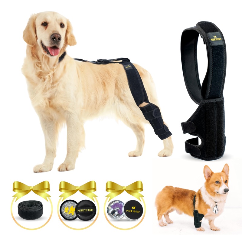 4-in-1 Dog Knee Brace Bundle For Cruciate Ligament Injury, Luxating Patella, Torn ACL Knee with Adjustable Front Hind Leg Brace with Back Strap, Calm Collar,Therapeutic pad (LARGE DOG) Large
