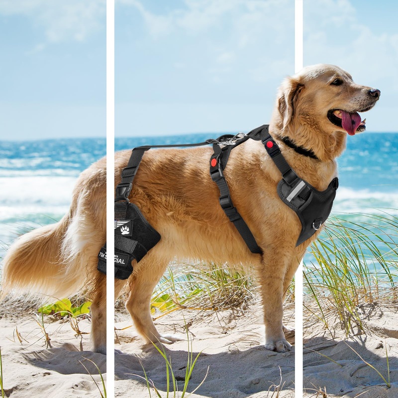 8X Support Dog Knee Brace with Metal Strips for Joint Pain Relief, Dog Leg Brace for Torn Acl Hind Leg, Rear Leg Brace with Adjustable Traction Belt for Cruciate Ligament Injury (M) Medium