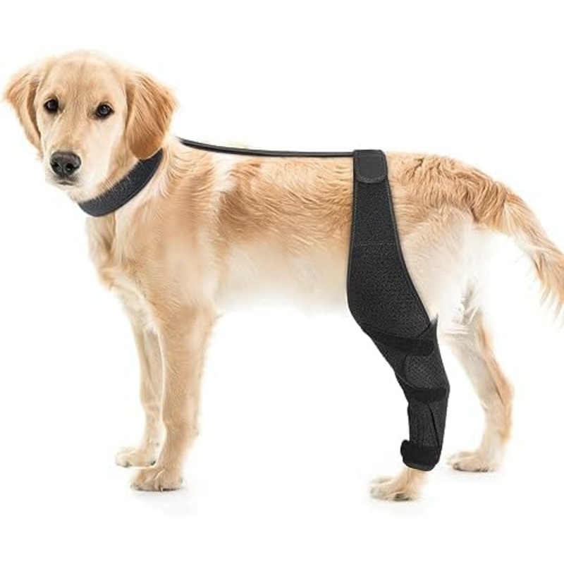 Adjustable Dog Knee Brace – Dog ACL Leg Brace for Support with Cruciate Ligament Injury, Joint Pain, and Muscle Soreness, Anti-Slip Canine Rear Leg Braces for Dogs (Medium, Left)
