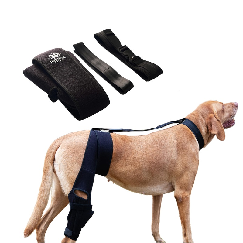 Adjustable Dog Knee Brace for Torn ACL and Luxating Patella – Support for Back Leg, Hip Dysplasia, and Post-Surgery Recovery. Optimal Comfort and Stability for Your Beloved Pet Medium