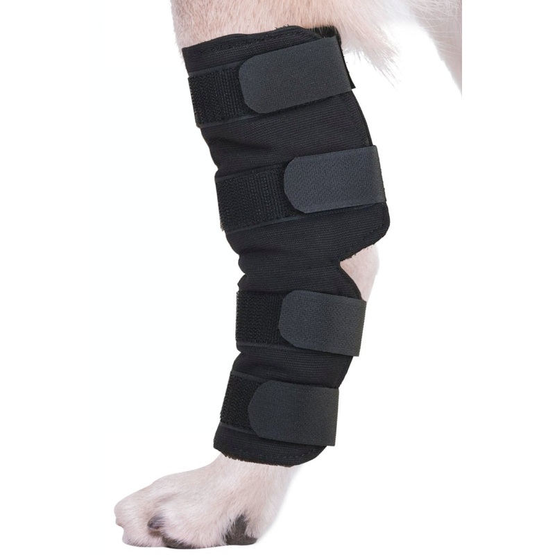 AGON Canine Dog Hock Brace Rear Leg Joint Wrap Protects Wounds as They Heal, Compression Wrap, Heals and Prevents Injuries and Sprains Helps with Loss of Stability Caused by Arthritis Small