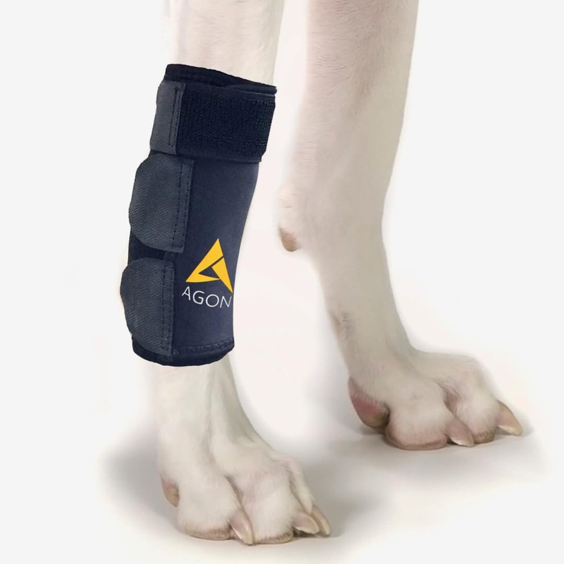 Agon Dog Canine Front Leg Brace Paw Compression Wraps with Protects Wounds Brace Heals and Prevents Injuries and Sprains Helps with Loss of Stability Caused by Arthritis (Large/X-Large) Large/X-Large