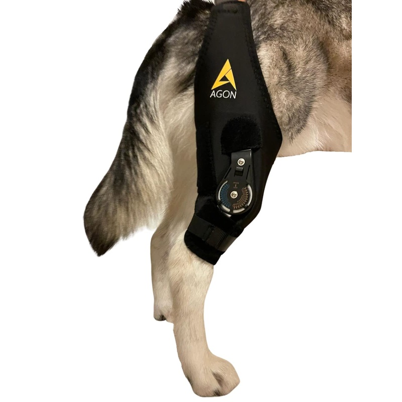 AGON Dog Knee Brace  Professional Knee Support Brace for Dogs with Adjustable Hinge Stabilizer  Premium Neoprene Hip Brace for Knee Support, Dog Recovery, and Joint Support (Right Leg, Large) Right