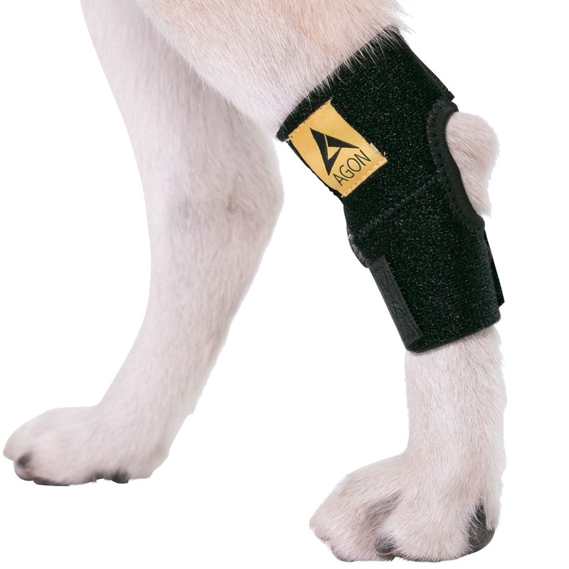 AGON Dog Leg Braces for Back Leg wrap hock Compression Protects Wounds and Helps heal hind Legs Rear Ankle Joint, preventing Injuries, sprains Providing Stability for Dogs, Canines Arthritis (Large) Large
