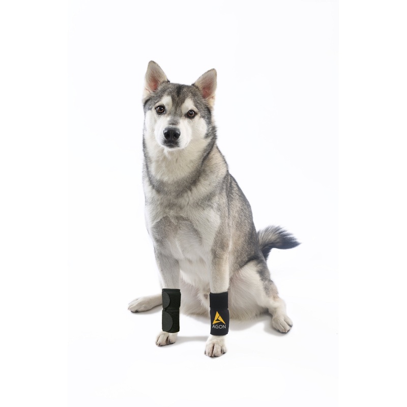 AGON (Pair) Dog Canine Front Leg Brace Paw Compression Wraps with Protects Wounds Brace Heals and Prevents Injuries and Sprains Helps with Loss of Stability Caused by Arthritis (Small/Medium) Small/Medium