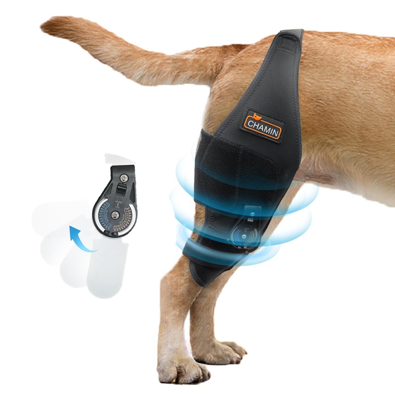 CHAMIN/RISURRY Dog Knee Brace with Adjustable Hinge Stabilizer, Dog ACL Knee Brace Support Osteoarthritis, Made with Premium Quality Neoprene(Right Leg,XL) Right Leg Extra Large