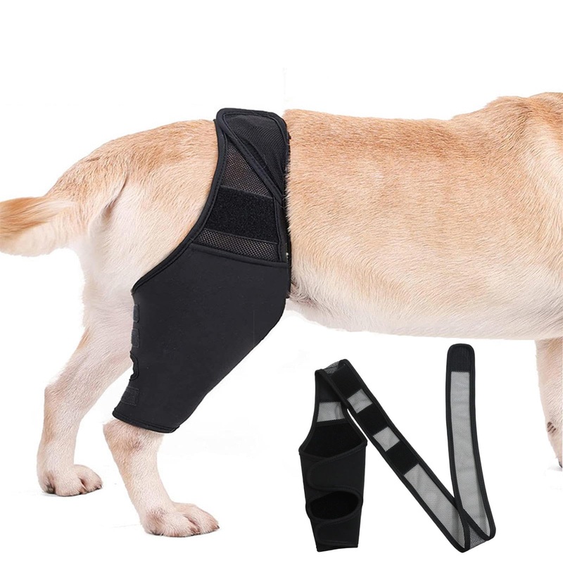 Dog Acl Brace Hind Leg,Dog Knee Brace for Torn Acl Hind Leg (Universal Front and Rear Legs),Adjustable Dog Knee Brace for Acl Tears, Hip Dysplasia, Osteoarthritis and Ligament Injuries (L) L