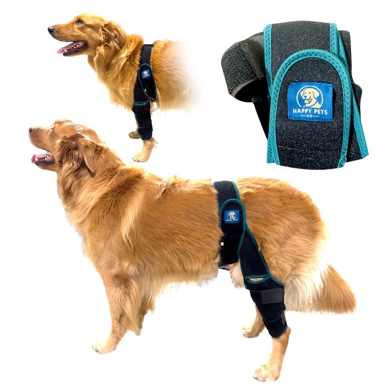 Dog Knee Brace Adjustable Front Hind Leg Brace for Cruciate Ligament Injury, Luxating Patella, Torn ACL Medium GREEN