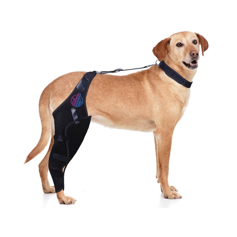 Dog Knee Brace for ACL, Knee Cap Dislocation, Arthritis – Full Wrap – Easy Adjustable – Extra Support – Reduces Pain and Inflammation  Full Sizes (Large), Black
