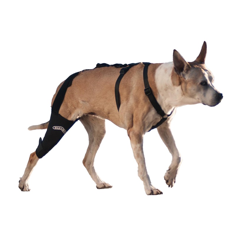 WALKABOUT Knee Brace (Small right (7-9″)) Small right (7-9″)