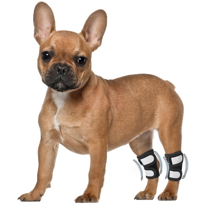 1 Pair Short Dog Rear Leg Hock Ankle Brace for Torn ACL & CCL, Dog Leg Braces for Back Leg with Metal Spring Inserts, Dog Wrap Brace for Bottom Joint with Reflective Straps XS
