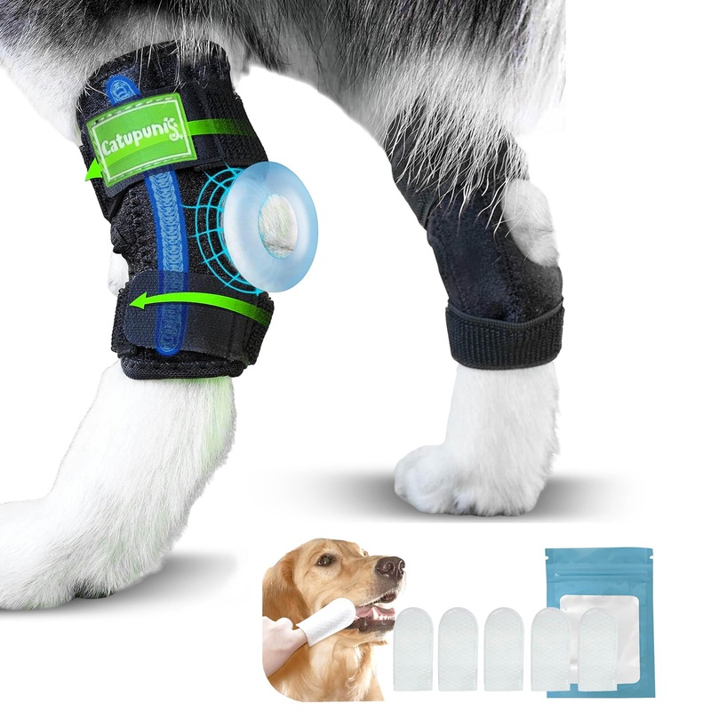 2PCS Dog Braces for Back Leg for Support. Dog Arthritis Brace. Hind Leg Support for Dogs. Leg Brace for Dogs Back Leg. Dog Leg Brace. Dog Back Leg Support Brace. Dog Hock Brace Rear Leg (L) L