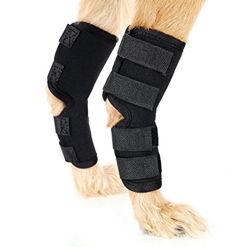 9-Jet Ecommence Dog Rear Leg Hock Brace – Canine Wrap Protects Wounds Heal and Sprains Support Due to Arthritis with 4 Safety Straps to Prevents Injuries and Sprains or Walking (1 Pair) (Medium) Medium