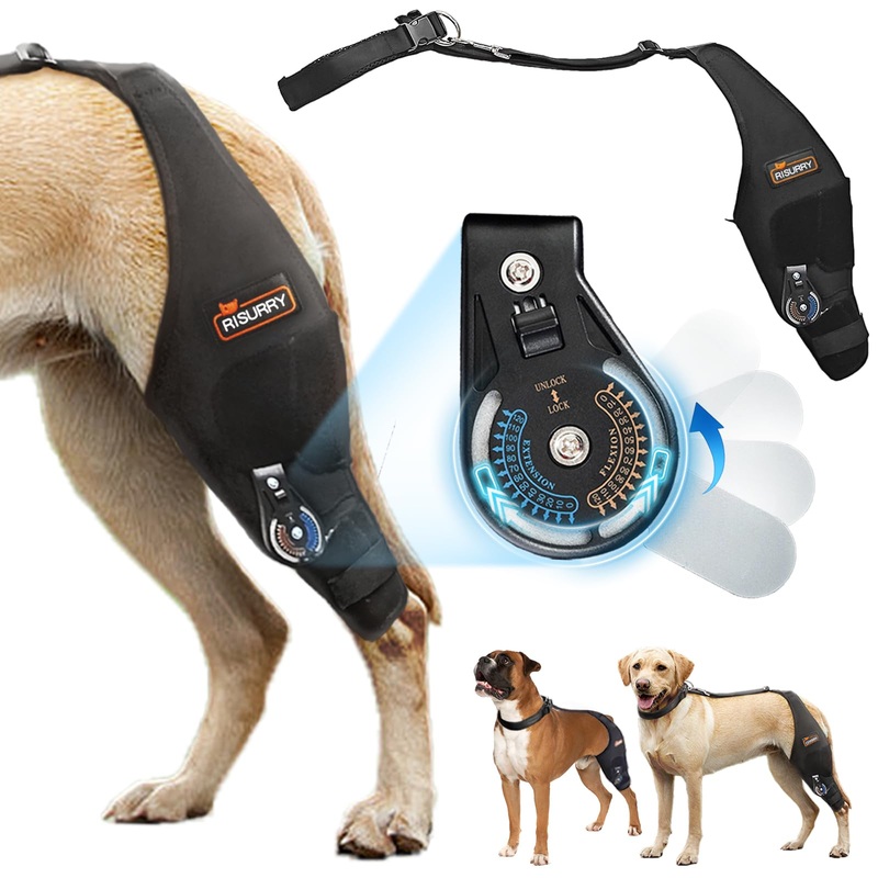 Adjustable Dog Knee Brace with Extra Collar, Support for Torn Acl Hind Leg, Tear Ligament, Osteoarthritis,Rear Leg Limp, Recovery After Surgery,etLeft Leg,XL Left Leg Extra Large