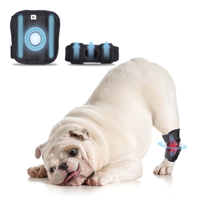 Adjustable Dog Leg Braces for Joint Support and Injury Recovery – Premium Material, Comfortable Fit, Durable Design – Ideal for Active Dogs, Large Breeds, and Elderly Pets (M-1 Pair) M-2 PACK