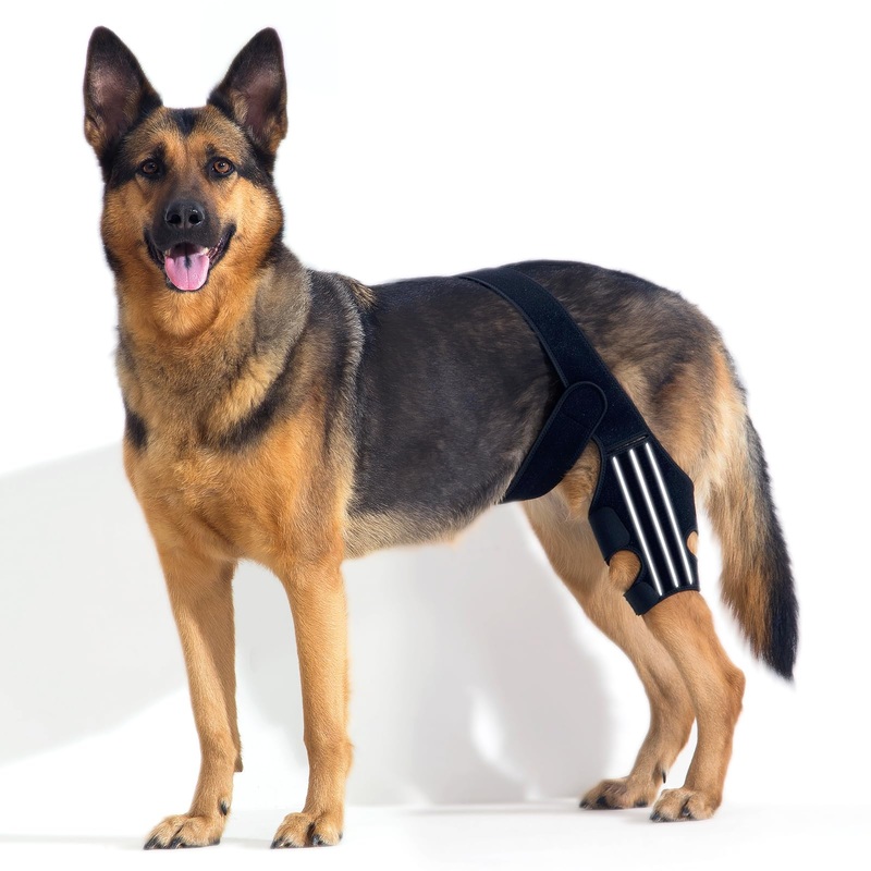 BENCMATE Adjustable Dog Knee Brace, Universal Designed for All Four Limbs, Dog ACL Hind Leg Brace, Dog CCL Brace, Support with Cruciate Ligament Injury, Joint Pain and Muscle Sore (Black, Large) Large (THIGH c. 10.6″-15.4″/LEG ht. 7.9″-11″)