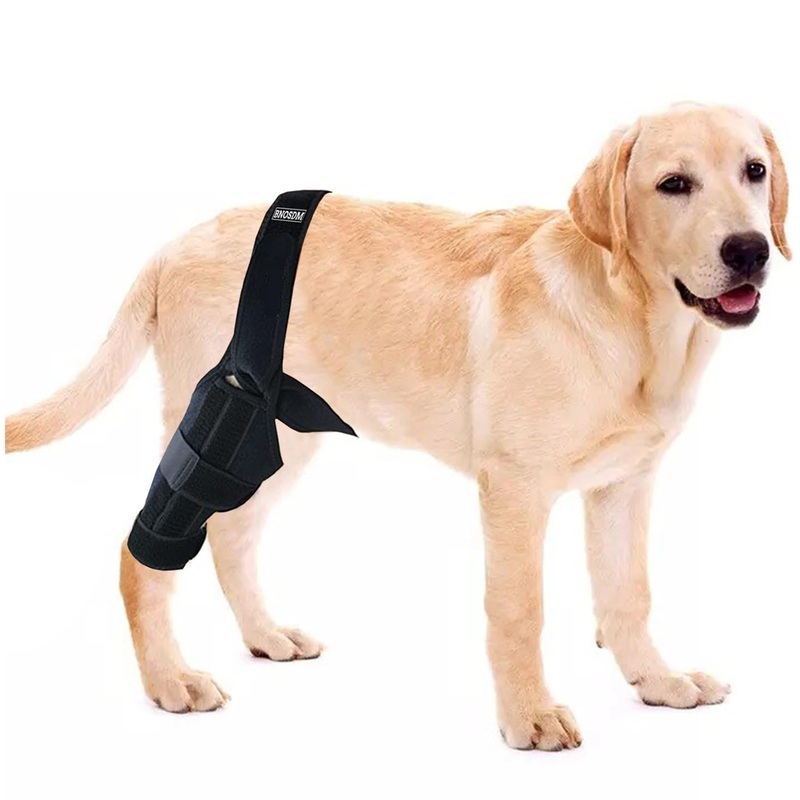 BNOSDM Dog ACL Knee Brace Hind Legs, Dogs Leg Braces for Back Leg ACL Tear, Universal Designed for All Four Limbs, CCl Brace for Dogs, Support with Cruciate Ligament Injury (Medium)