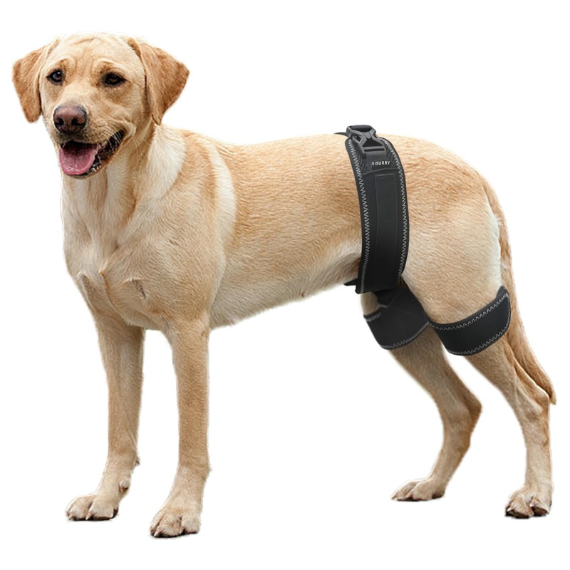 CHAMIN Dog Hip Orthotics Brace, Dog Hip Dysplasia Brace Harness, Support for Hip Dysplasia, Luxating Patella, Prevent Hip Joint Diseases and Assisted orthopedics, et(Extra Large) Extra Large