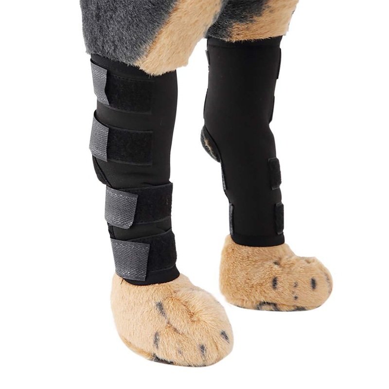 Comfortable Neoprene Dog Legs Brace Canine Front Hind Legs Support Compression Wraps Hock Joint Brace with Straps for Protecting Dog Legs Wounds Injuries Sprains from Arthritis Medium