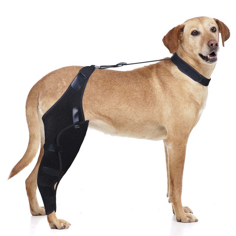 DGYAO Dog Knee Brace for ACL, Knee Cap Dislocation, Arthritis – Full Wrap – Easy Adjustable – Extra Support – Reduces Pain and Inflammation  Full Sizes Left- S