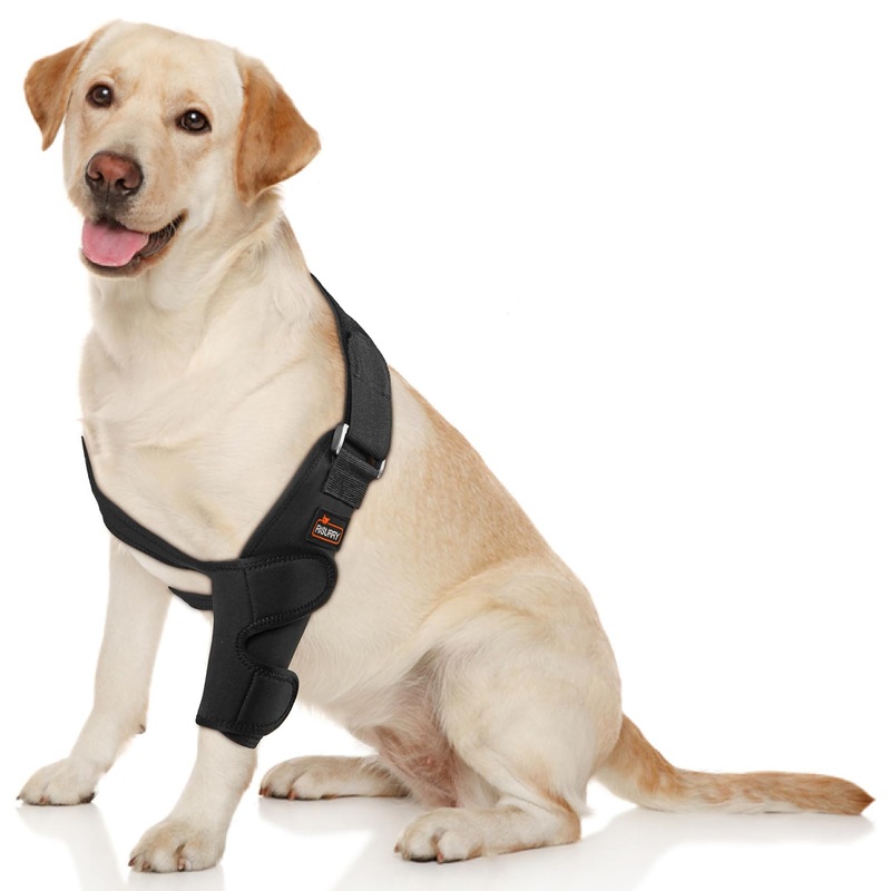 Dog Elbow Braces for Offers Elbow Support and Protection, Brace for Elbow Arthritis, Hygroma, Dysplasia, Shoulder Dislocation, Elbow Wound Healing, et – (Left Leg,M) Left Leg Medium