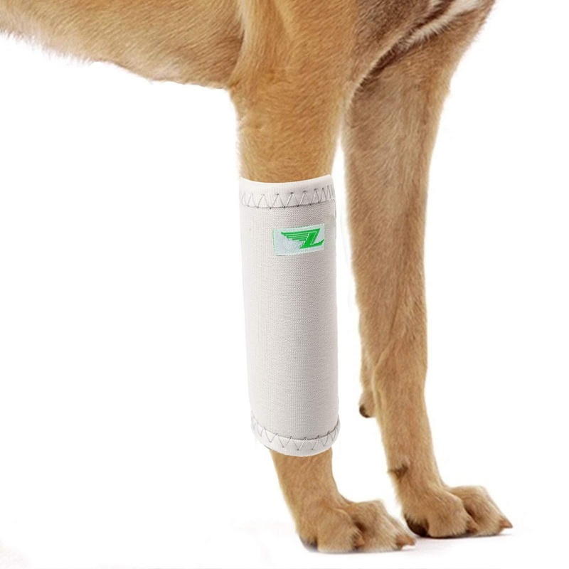 Dog Front Leg Joint Brace Heals Hock Wrap Sleeve for Canine (S/M, Grey) S/M Grey-Front Leg