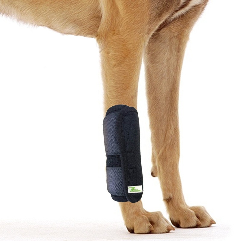 Dog Front Leg Joint Brace Heals Hock Wrap Sleeve for Canine (XXS/XS, Black) XXS/XS Black-Front Leg